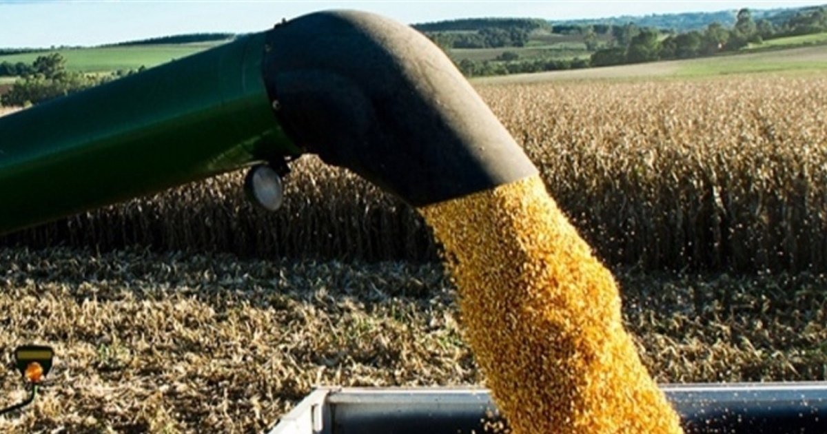 Antonio Sartori avalia relatório do USDA