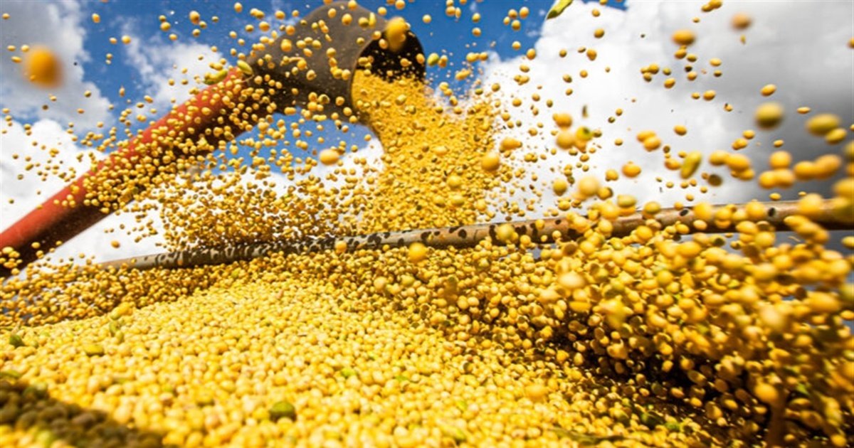Grãos puxam alta de 3,62% nos preços do agro
