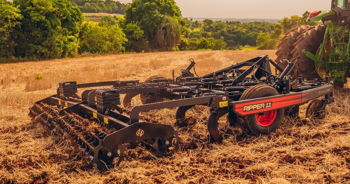 Solo compactado pode reduzir produtividade em até 60%