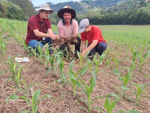 Análise de solo ajuda produtor a economizar com fertilizantes e aumentar a produtividade