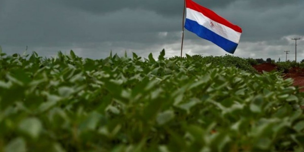 Paraguai: Milho encerra a safrinha com impasse nos negócios remanescentes, enquanto soja acelera comercialização futura à espera do avanço do plantio