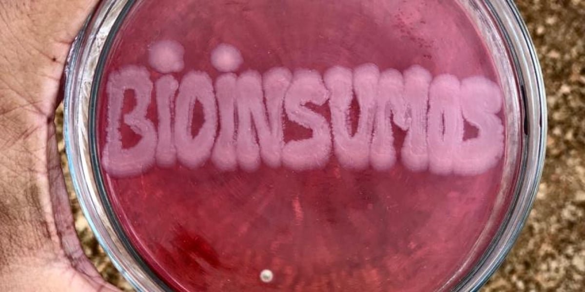 Brasil concede autorização inédita para uso industrial de OGMs em bioinsumos