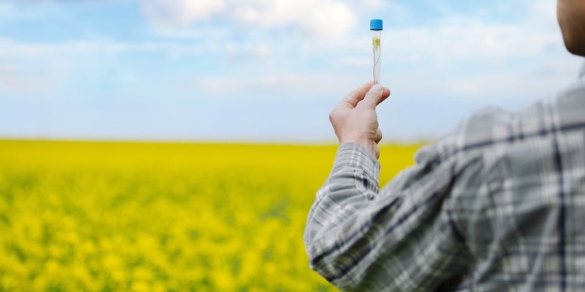 Brasil encerra 1º semestre com 46 milhões de hectares tratados por bioinsumos, alta de 18,3%