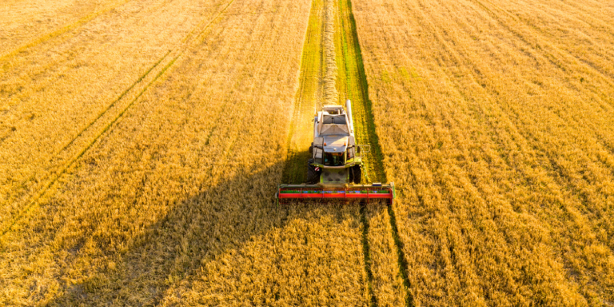 Grupo Ceres assume risco de crédito e movimenta R$ 100 milhões para impulsionar vendas no agronegócio