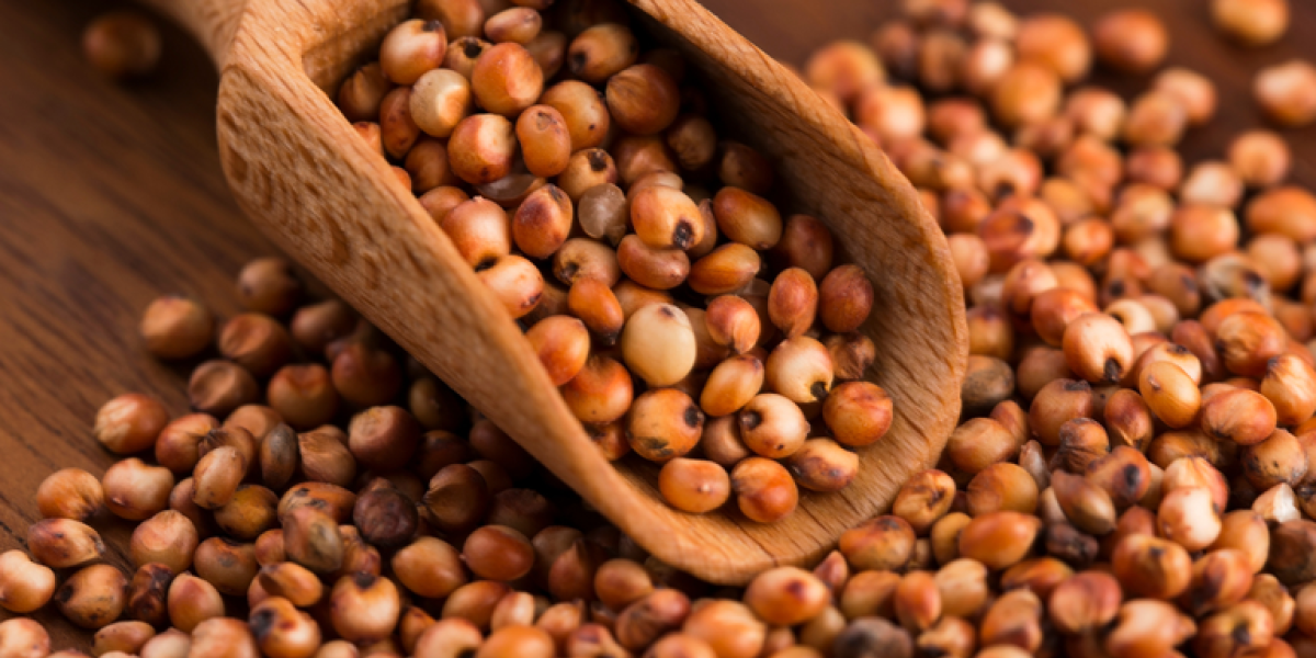 China amplia compras de sorgo brasileiro, mas estoques recordes e perspectiva de menor importação acendem alerta