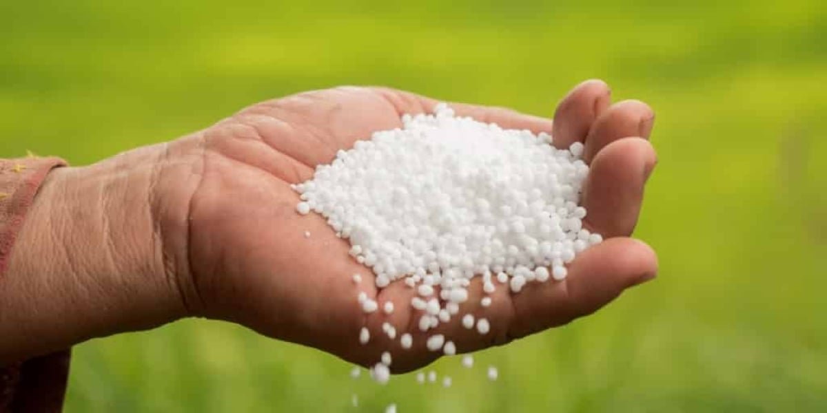 Importações de fertilizantes reagem no início de outubro após quedas de agosto e setembro